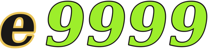 e9999 logo